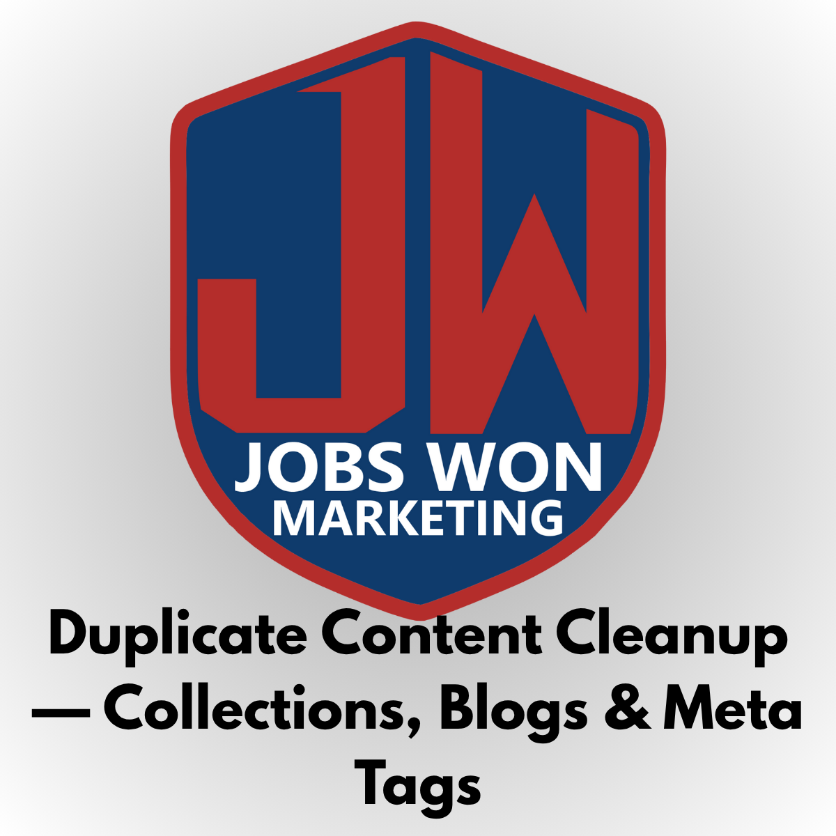 Duplicate Content Cleanup — Collections, Blogs & Meta Tags